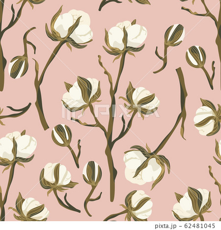 Cotton flower vector seamless pattern. 62481045
