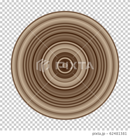 Concentric circle wood grain stump 62481381