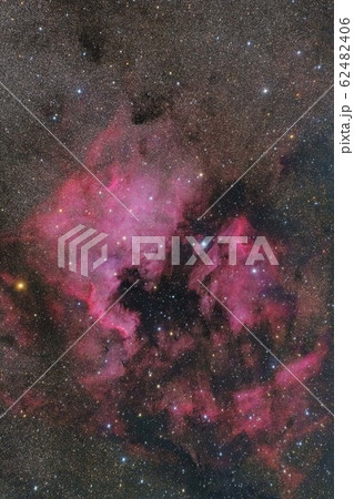 北アメリカ星雲とペリカン星雲　NGC7000、IC5067 62482406
