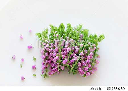 白いお皿の上の花穂紫蘇の写真素材 6240