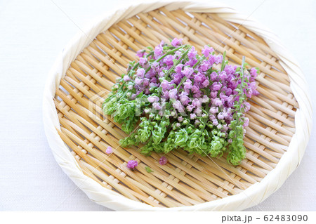 花穂紫蘇 62483090