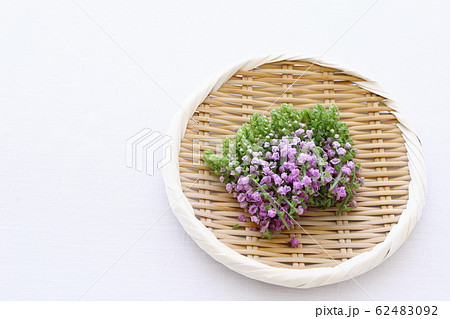 花穂紫蘇の写真素材