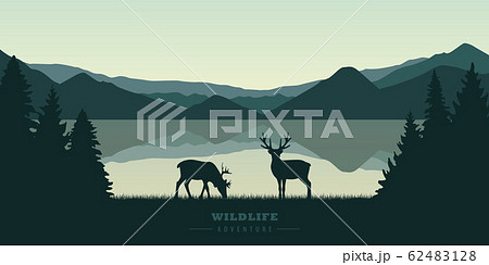 two reindeers by the lake at sunrise wildlife nature landscape 62483128