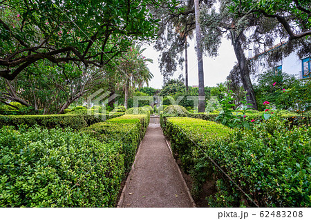Courtyard garden of Viana Palace in Cordoba, Andalusia, Spain. Courtyard garden of Viana Palace in Cordoba, Andalusia, Spain. 62483208