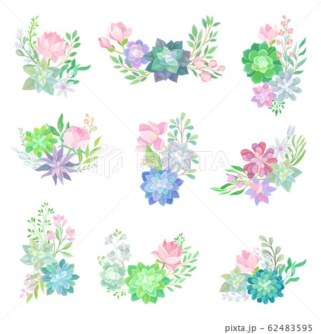Succulent Echeveria Floral Arrangements Vector Set. Natural Cactus Bouquets Collection 62483595