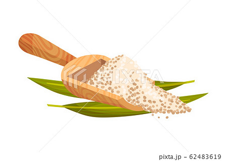 Refined Brown Sugar Rested in Wooden Spoon with Sugarcane Leaf Vector Illustration 62483619
