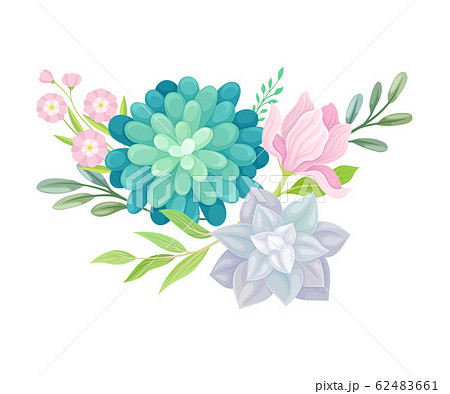 Floral Composition Of Tender Colorful Succulent のイラスト素材