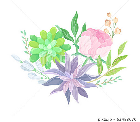 Succulent Echeveria Floral Arrangement Vector Illustration. Natural Cactus Bouquet 62483670