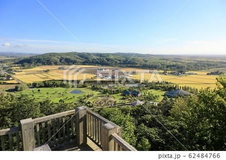 いわみざわ公園・見晴台からの眺め いわみざわ公園・見晴台からの眺め 62484766