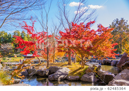 紅葉と青空 けいはんな記念公園 紅葉と青空 けいはんな記念公園 62485364