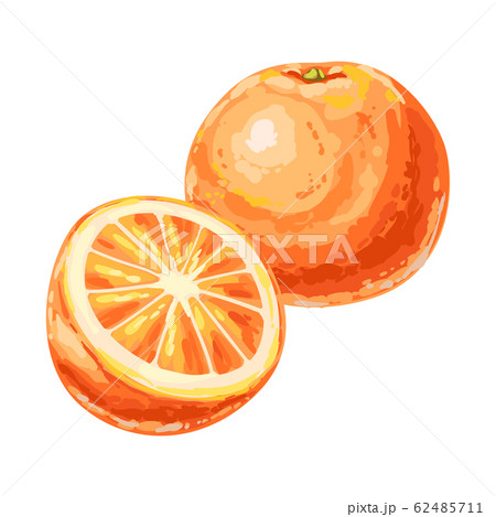 Illustration of ripe orange and slice. Illustration of ripe orange and slice. 62485711