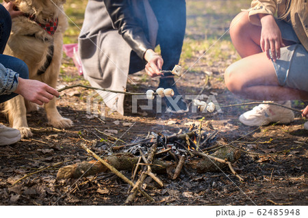 Roasted Marshmallow in the forest, close-up Roasted Marshmallow in the forest, close-up 62485948