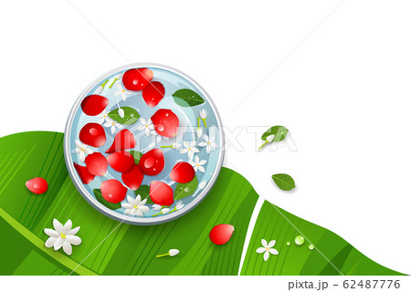 Amazing Songkran festival thailand rose petals Amazing Songkran festival thailand rose petals 62487776