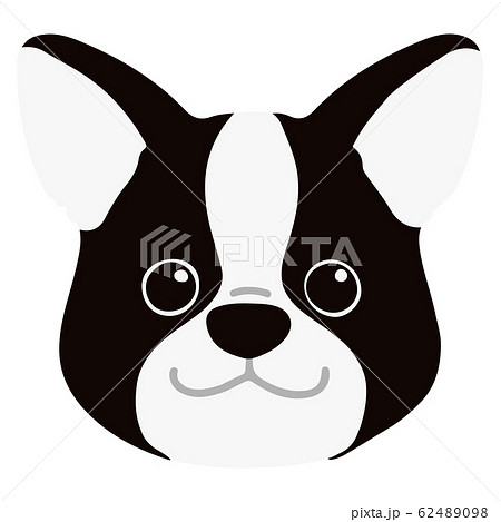 ボストンテリア 正面顔 主線なしのイラスト素材 ボストンテリア 正面顔 主線なしのイラスト素材