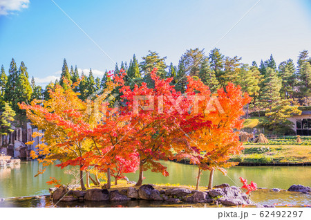 紅葉と青空　けいはんな記念公園 62492297