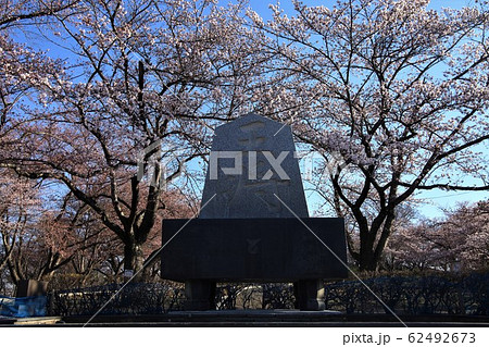 春の王将碑 春の王将碑 62492673