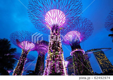 シンガポール　ガーデンズ・バイ・ザ・ベイ 62492974