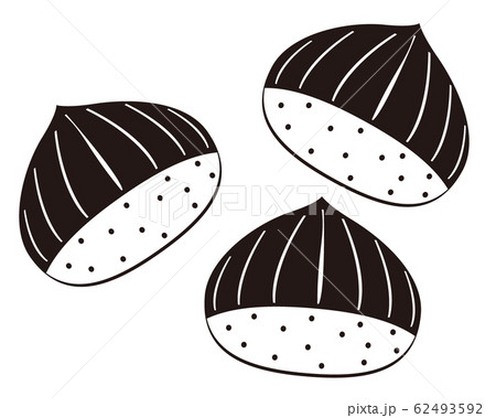 栗 甘栗 栗 甘栗 62493592