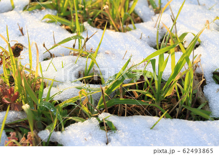 雪解けのイメージ（春の始まり） 62493865
