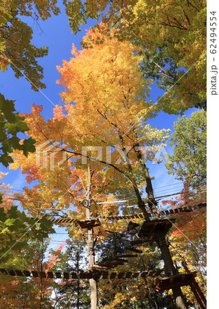 カナダのトロント郊 ハートレイク保護公園 Heart Lake Conservation Park カナダのトロント郊 ハートレイク保護公園 Heart Lake Conservation Park 62494554