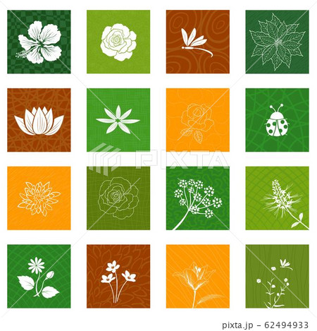 White flowers and leaves icons set isolated on different background for decorative graphic design 62494933