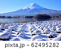 河口湖の雪景色 62495282