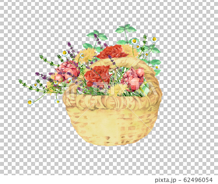 玫瑰和香草花籃 62496054