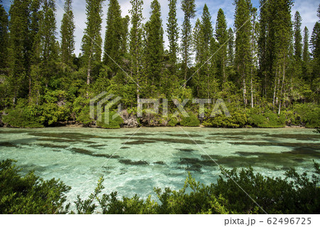 ニューカレドニア　ロワイヨテ諸島　イル・デ・パン　ナチュラルプール　 62496725