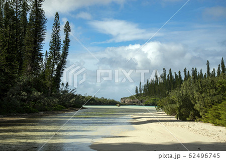 ニューカレドニア　ロワイヨテ諸島　イル・デ・パン　ナチュラルプール　 62496745