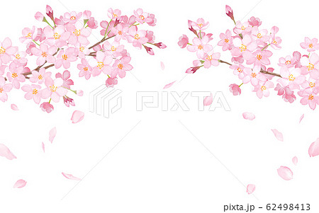 春の花 さくらと散る花びらのアーチ型フレーム 水彩イラストのトレースベクターのイラスト素材