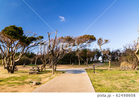 城ヶ島(冬) 城ヶ島(冬) 62498608