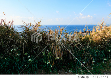 城ヶ島（冬） 62498774