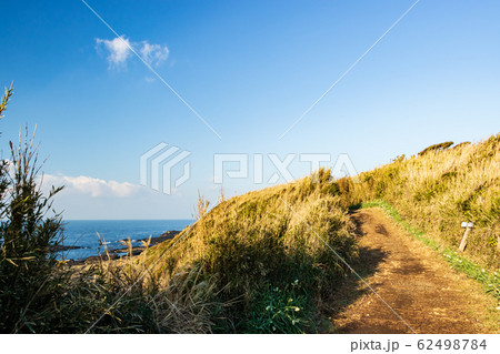 城ヶ島(冬) 城ヶ島(冬) 62498784
