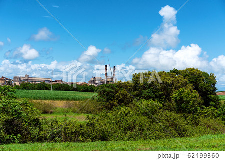 Sugar Mill Behind Green Bushes 62499360
