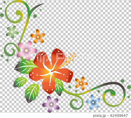 Bingata Image Illustration Hibiscus Stock Illustration