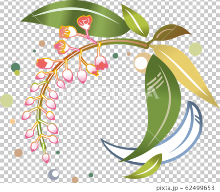 紅型イメージイラスト 月桃 紅型イメージイラスト 月桃 62499653