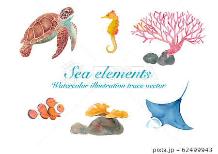 海のいきもの色々 ウミガメ マンタ カクレクマノミ タツノオトシゴ サンゴ 水彩イラストのトレースのイラスト素材