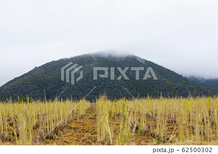 刈り取りの終わった水田と山 刈り取りの終わった水田と山 62500302