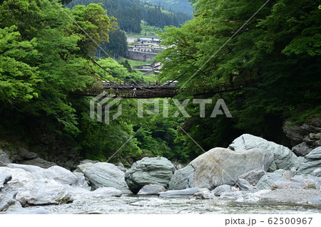 祖谷のかずら橋 祖谷のかずら橋 62500967