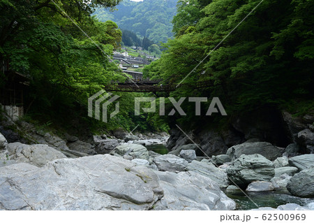 祖谷のかずら橋 祖谷のかずら橋 62500969
