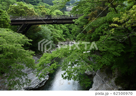 祖谷のかずら橋 62500970