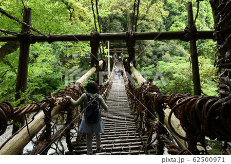 祖谷のかずら橋 祖谷のかずら橋 62500971