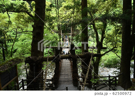 祖谷のかずら橋 祖谷のかずら橋 62500972