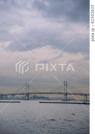 日本の横浜都市景観 新型コロナウイルス・大黒ふ頭で“船内隔離”が続くクルーズ船＝14日撮影 62502635