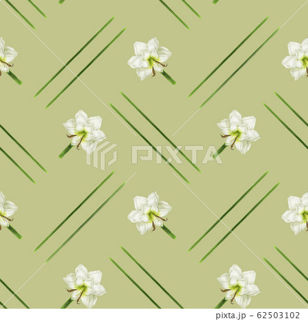 Olive seamless pattern with white hippeastrum 62503102