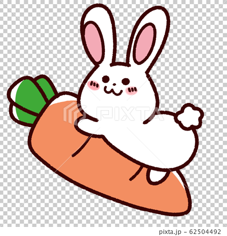 手繪可愛的白兔子和大胡蘿蔔 62504492