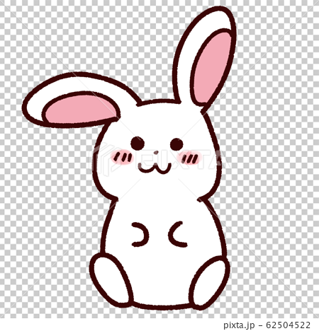 手繪風格的可愛白兔子 62504522