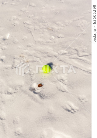 Snowball 62505299