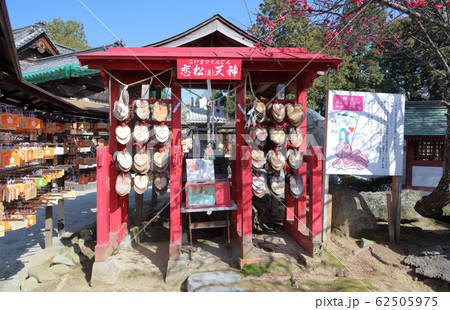 早春の「滝宮天満宮」境内社の恋松天神 62505975
