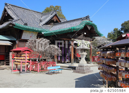 早春の「滝宮天満宮」拝殿 62505984